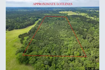 13130 County Road 4124, Lindale, TX 75771 - Photo 4