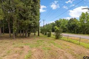 22596 Hwy 64 E, Arp, TX 75750 - Photo 2