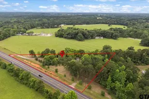 22596 Hwy 64 E, Arp, TX 75750 - Photo 10