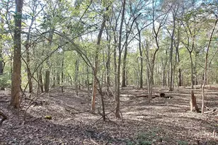 10774 Cr 494 (4 Homes), Tyler, TX 75706 - Photo 28