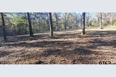 Tbd Cr 4147, Lindale, TX 75771 - Photo 6