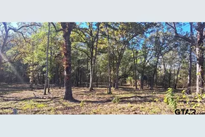 Tbd Cr 4147, Lindale, TX 75771 - Photo 1