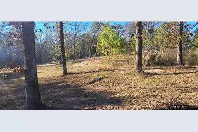 Tbd Cr 4147, Lindale, TX 75771 - Photo 4