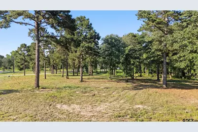 3132 Shadow Pine Dr, LaRue, TX 75770 - Photo 4