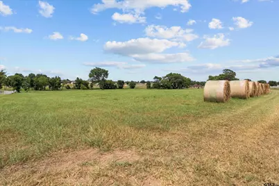 23050 Bridle View Drive, Lindale, TX 75771 - Photo 4