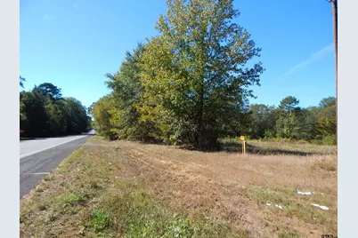 Tbd 3.5 Acres Hwy 155, Gilmer, TX 75644 - Photo 8