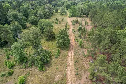 895 Vz Cr 4917, Ben Wheeler, TX 75754 - Photo 4