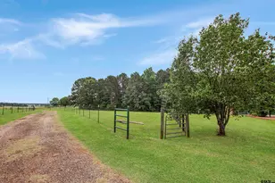 6233 Curtis Black Rd, Hallsville, TX 75650 - Photo 38