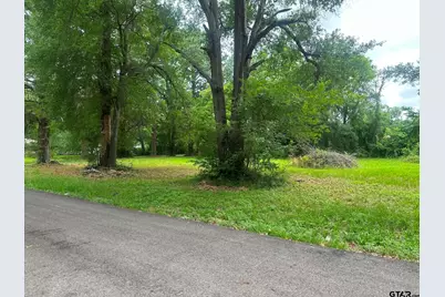 0 Ricky Dr, Palestine, TX 75802 - Photo 2