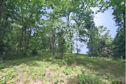 Lot 11 Private Road 5944, Yantis, TX 75497 - Photo 8