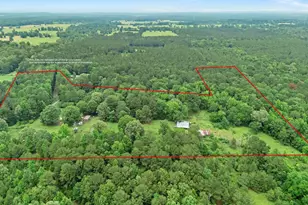 220 Private Rd 589, Carthage, TX 75633 - Photo 26