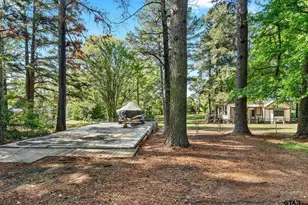 4550 Crabapple Rd, Gilmer, TX 75645 - Photo 32
