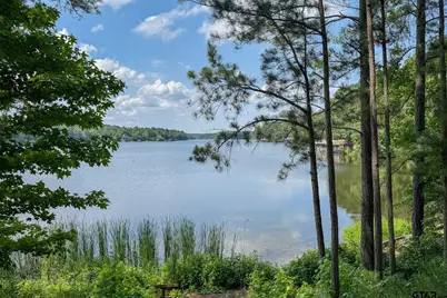 245 Larchwood Path, Holly Lake Ranch, TX 75765 - Photo 36