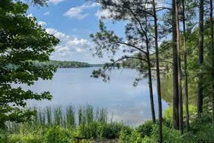 245 Larchwood Path, Holly Lake Ranch, TX 75765 - Photo 36