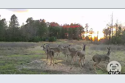 7722 Fm 2710, Lindale, TX 75771 - Photo 42