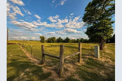 2.054 Acres Cr 3160, Quitman, TX 75783 - Photo 4
