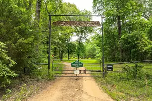 251 Private Rd 8179, Ben Wheeler, TX 75754 - Photo 2
