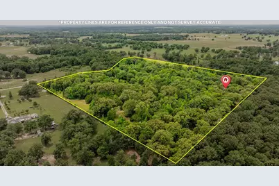 251 Private Road 8179, Ben Wheeler, TX 75754 - Photo 48