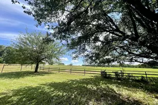 2970 Cr 2110, Pittsburg, TX 75686 - Photo 22