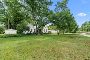 529 E Fm 323, Palestine, TX 75801 - Photo 4