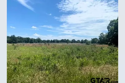 Tbd Cr 1119, Athens, TX 75751 - Photo 1