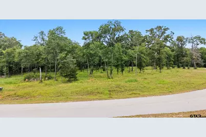 Tbd Private Road 5150, Palestine, TX 75801 - Photo 4