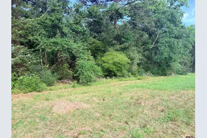 Tbd 11.17 Acres Fm 856, Troup, TX 75789 - Photo 4