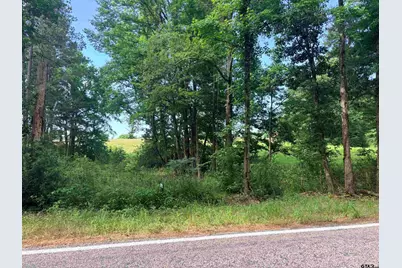 Lot 9 5.45 Acres Fm 15, Troup, TX 75789 - Photo 2
