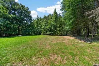 3484 Farm To Market 2813, Flint, TX 75762 - Photo 46