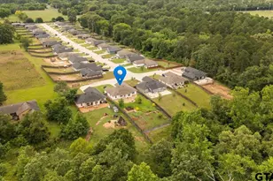 111 Lainey Ln, Mineola, TX 75773 - Photo 26