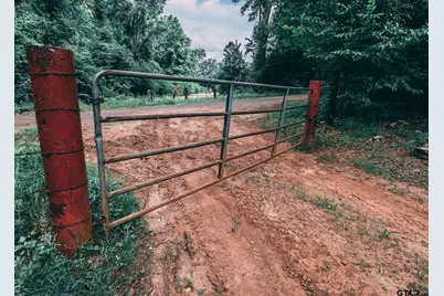 14546 County Road 247, Arp, TX 75750 - Photo 28
