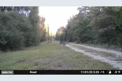 16661 Pr 2360, Oakwood, TX 75855 - Photo 46