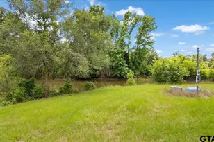 1423 An County Road 469, Palestine, TX 75803 - Photo 8