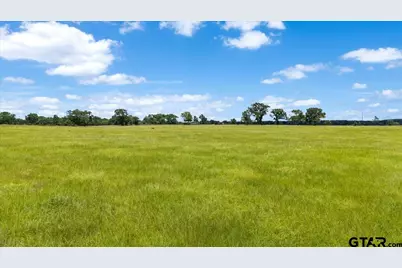 1423 An County Road 469, Palestine, TX 75803 - Photo 38