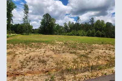 20021 Dews Ct, Troup, TX 75789 - Photo 6
