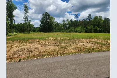 20021 Dews Ct, Troup, TX 75789 - Photo 2