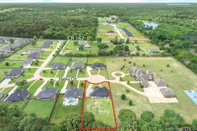 16525 Hailey Court, Tyler, TX 75703 - Photo 4