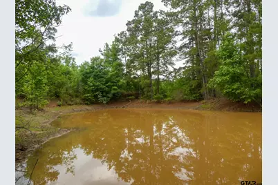 000 Avinger Cutoff Road, Avinger, TX 75630 - Photo 42