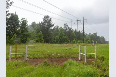 000 Avinger Cutoff Road, Avinger, TX 75630 - Photo 46