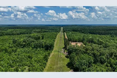 000 Avinger Cutoff Road, Avinger, TX 75630 - Photo 14