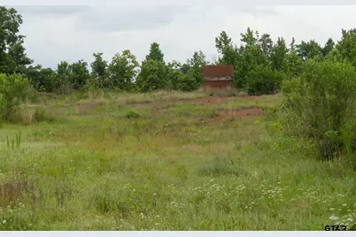 000 Avinger Cutoff Road, Avinger, TX 75630 - Photo 44