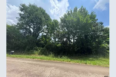 401 S Main Street, Arp, TX 75750 - Photo 4