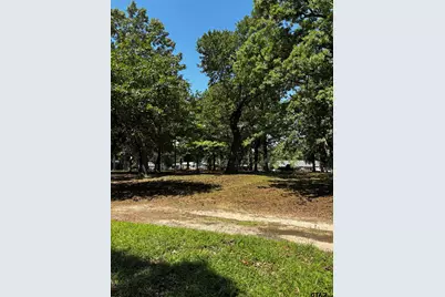 21047 Virginia Rd, Flint, TX 75762 - Photo 2