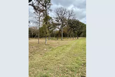 15308 W Fm 321, Tennessee Colony, TX 75861 - Photo 10