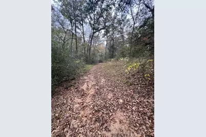 15308 W Fm 321, Tennessee Colony, TX 75861 - Photo 14