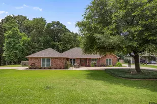 20 County Rd 2938 S, Pittsburg, TX 75686 - Photo 4