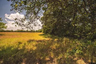 000 Fm 148, Scurry, TX 75158 - Photo 14