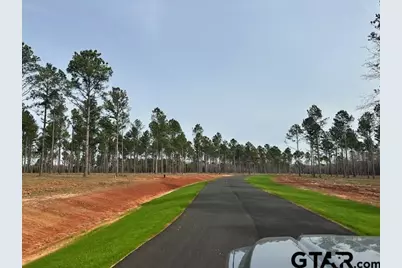 Lot 68 Oak River, Frankston, TX 75763 - Photo 4