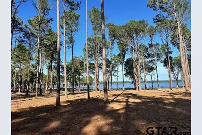 Lot 123 & 124 Oak River, Frankston, TX 75763 - Photo 18