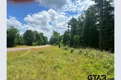 Fm323, Palestine, TX 75801 - Photo 4